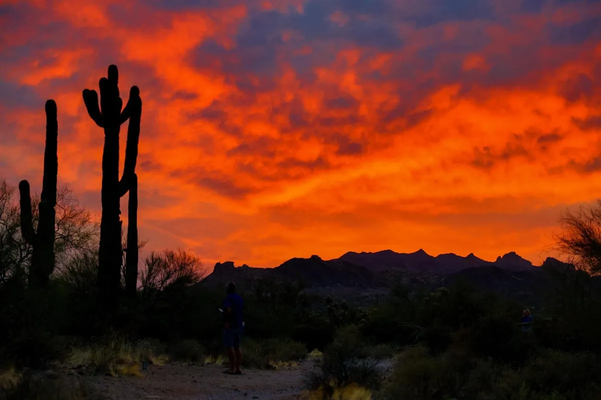 A captivating scene of desert cacti silhouetted against a vivid sunset sky with mountains in the distance, and a few figures enjoying the natural beauty. The image evokes a sense of adventure and relaxation in the Arizona outdoors, emblematic of the region’s unique landscape.
